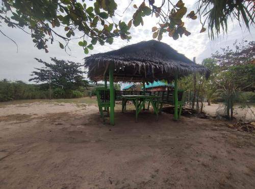 Photo of Others in Patar