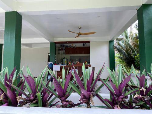Photo of Others in Catangnan