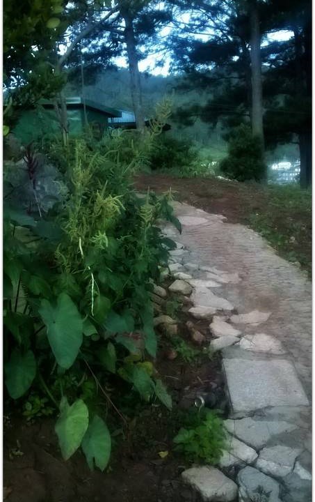 Photo of Others in Sagada