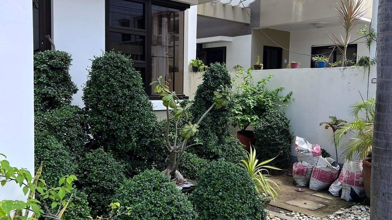 Photo of Outdoor in Alaminos