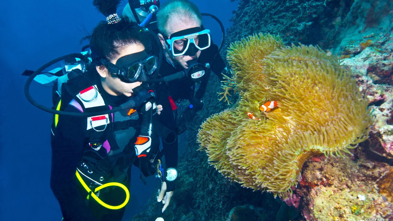 Photo of Others in Moalboal