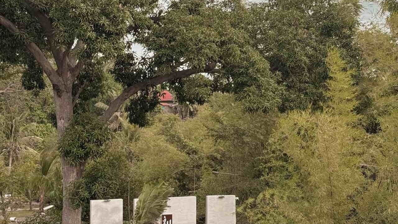 Photo of Outdoor in Lemery