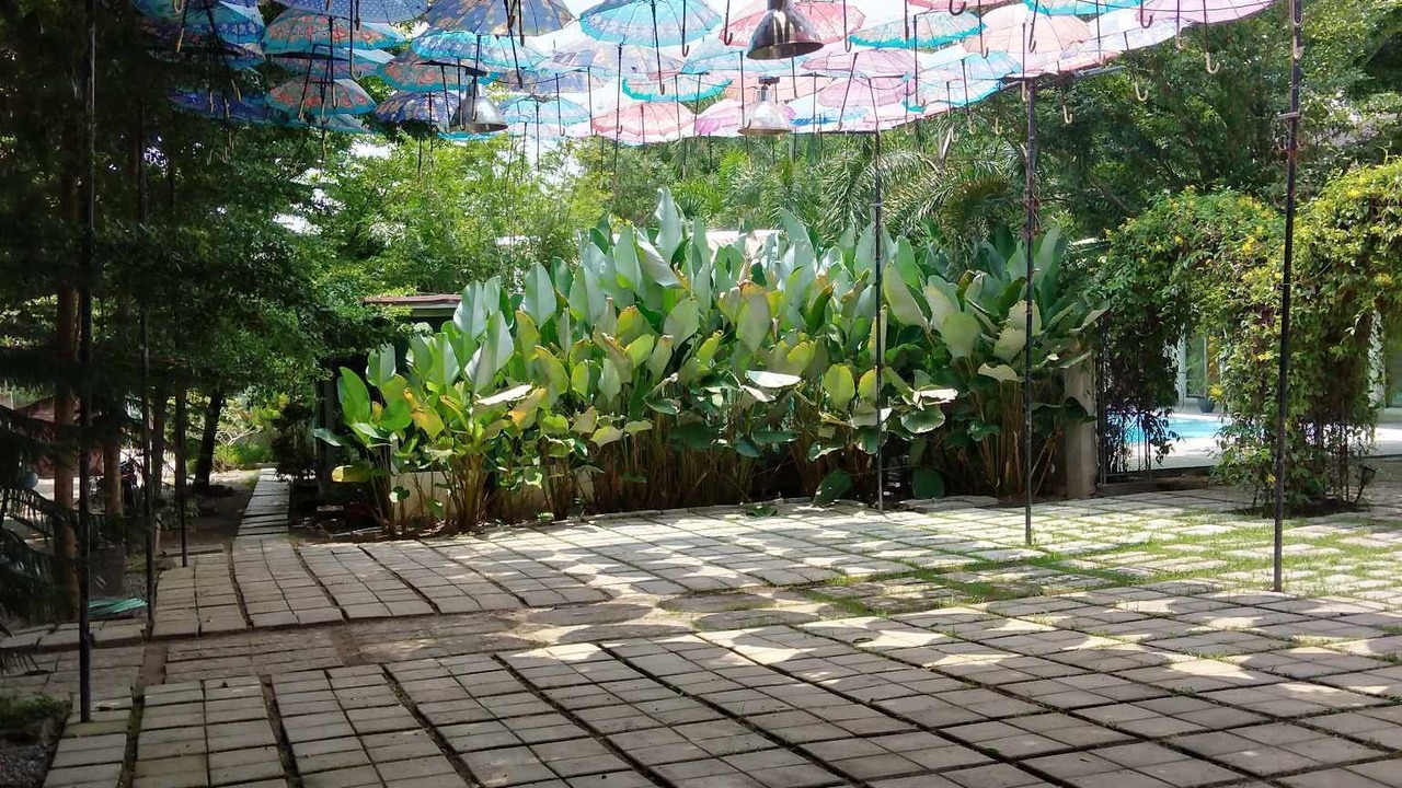 Photo of Outdoor in Tarlac