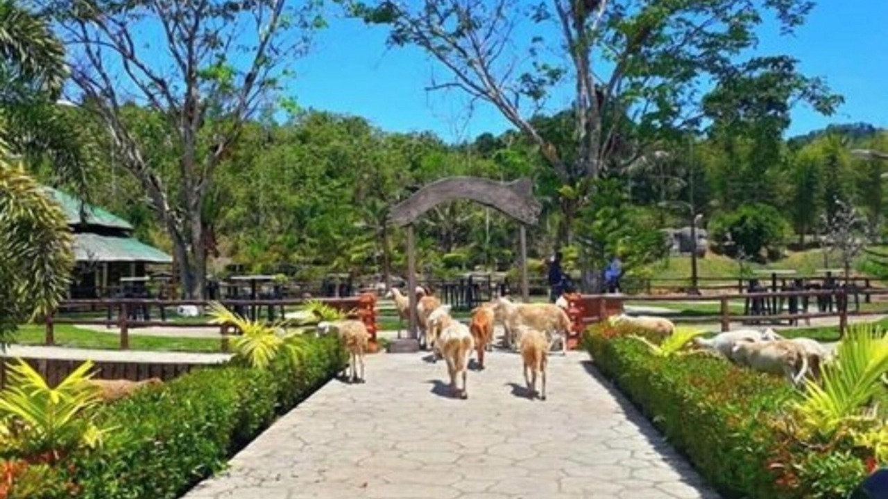 Photo of Outdoor in Babatngon