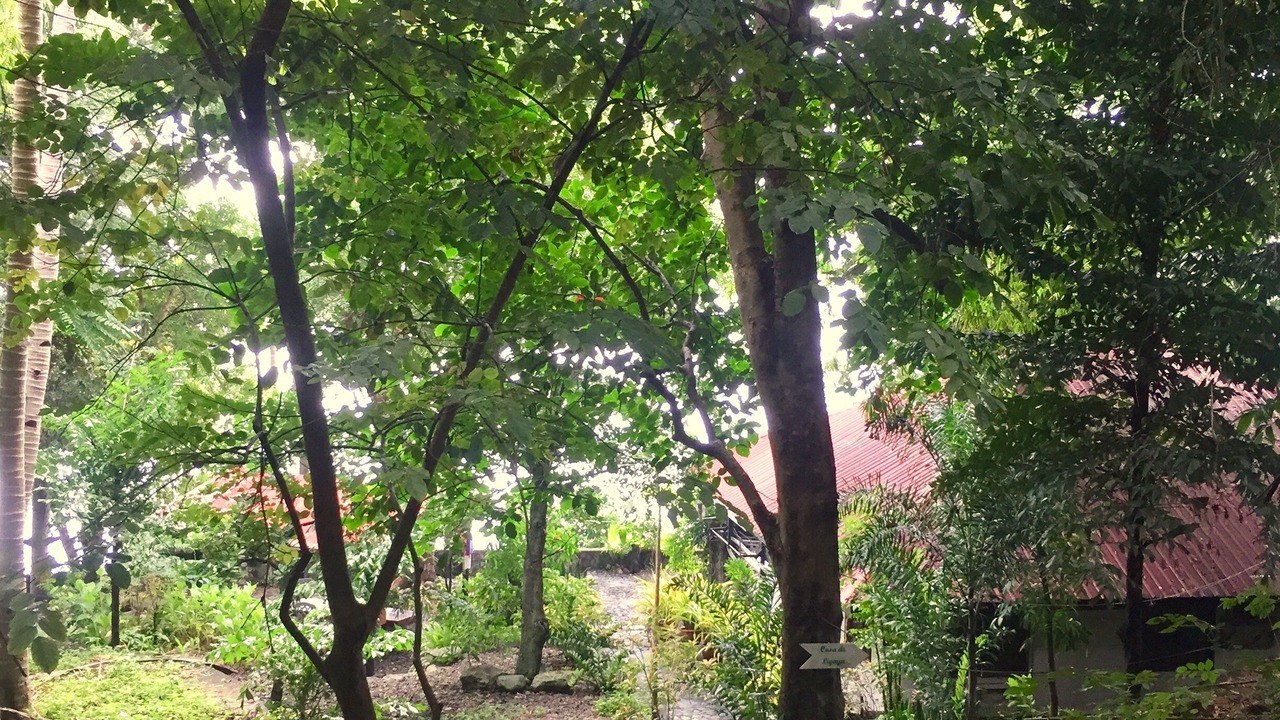 Photo of Outdoor in Mabini