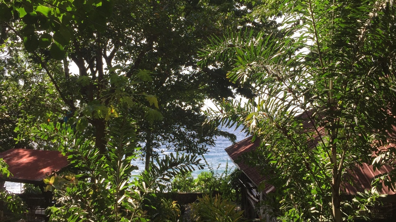 Photo of Outdoor in Mabini