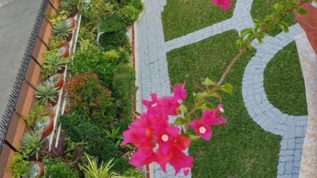 Photo of Outdoor in Batac