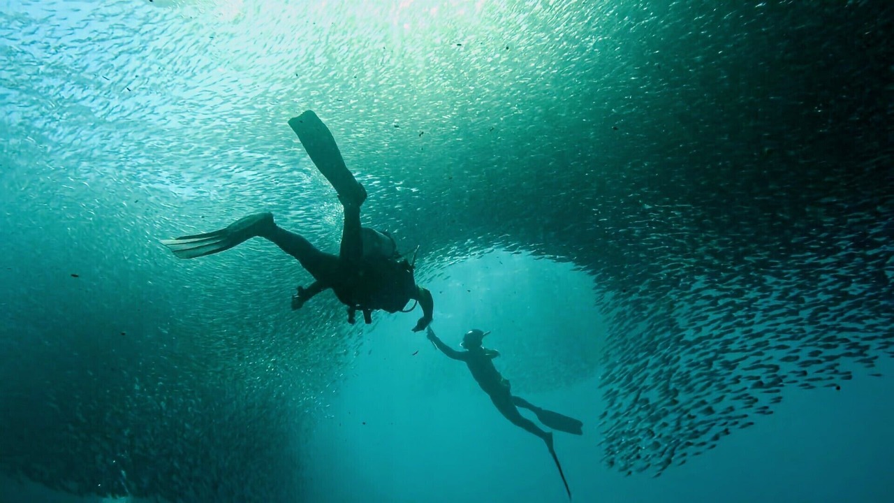Photo of Others in Moalboal