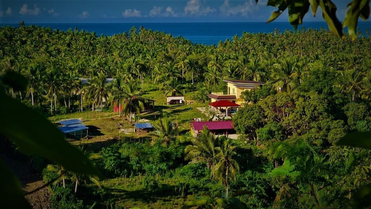 Photo of Outdoor in Esperanza