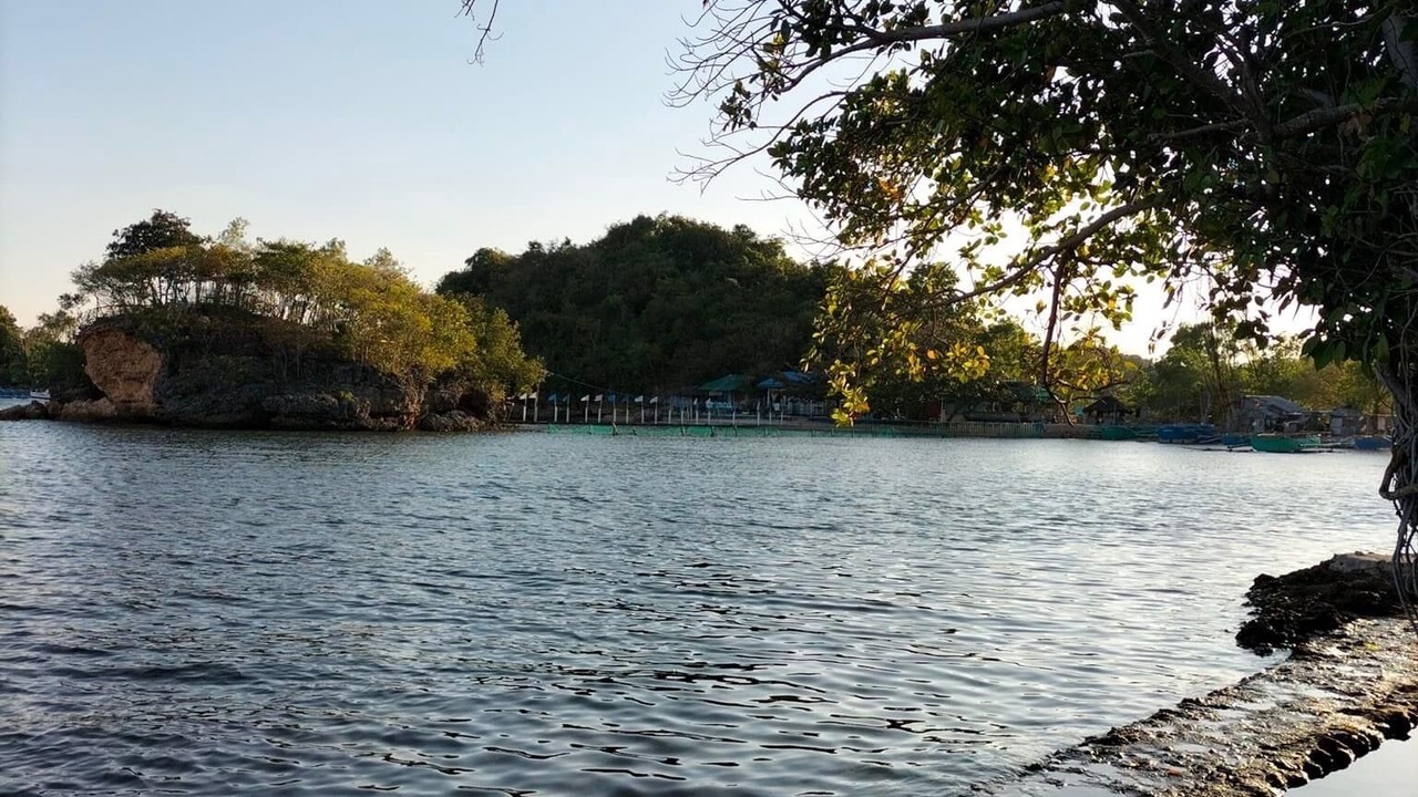 Photo of Others in Alaminos