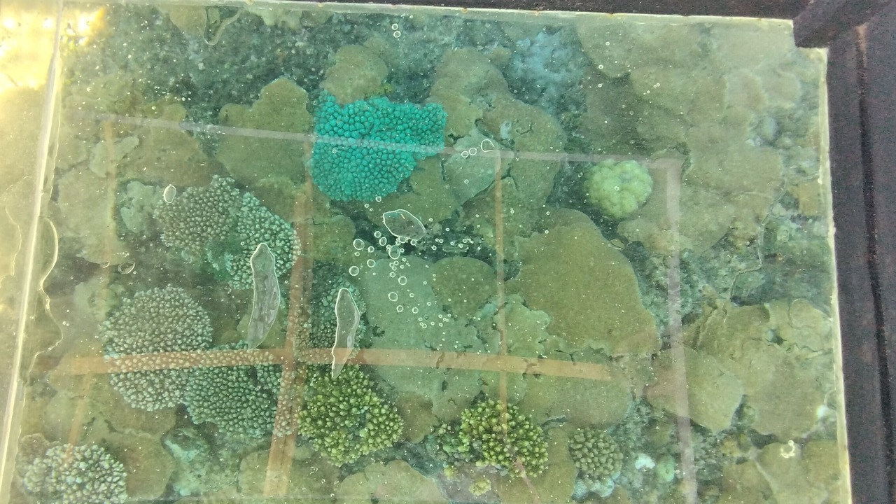 Photo of Outdoor in General Luna