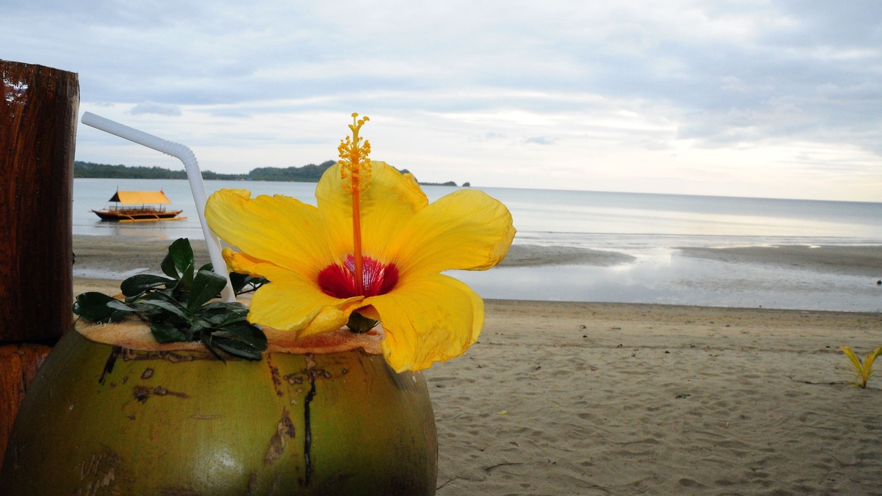 Photo of Others in Hinoba-an