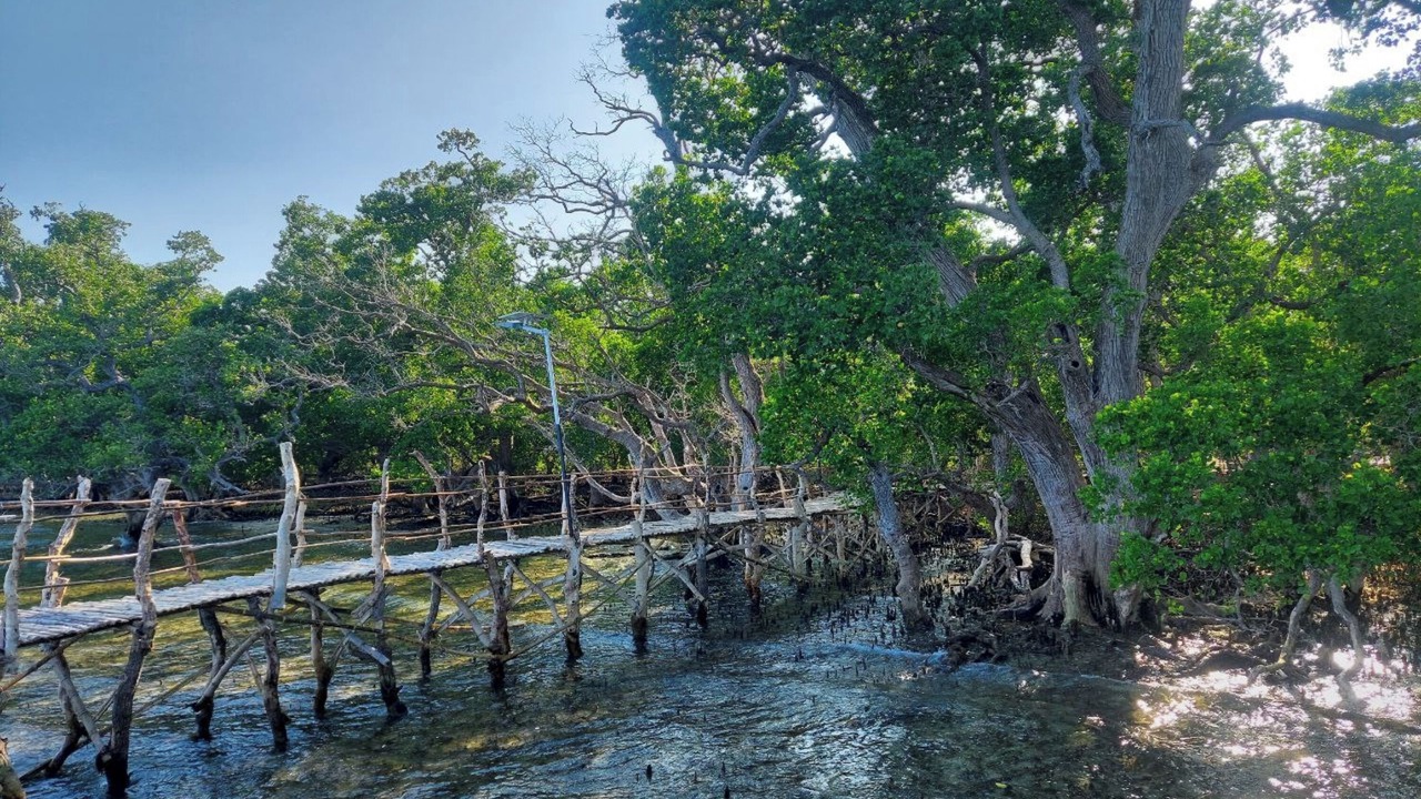 Photo of Outdoor in Alcoy