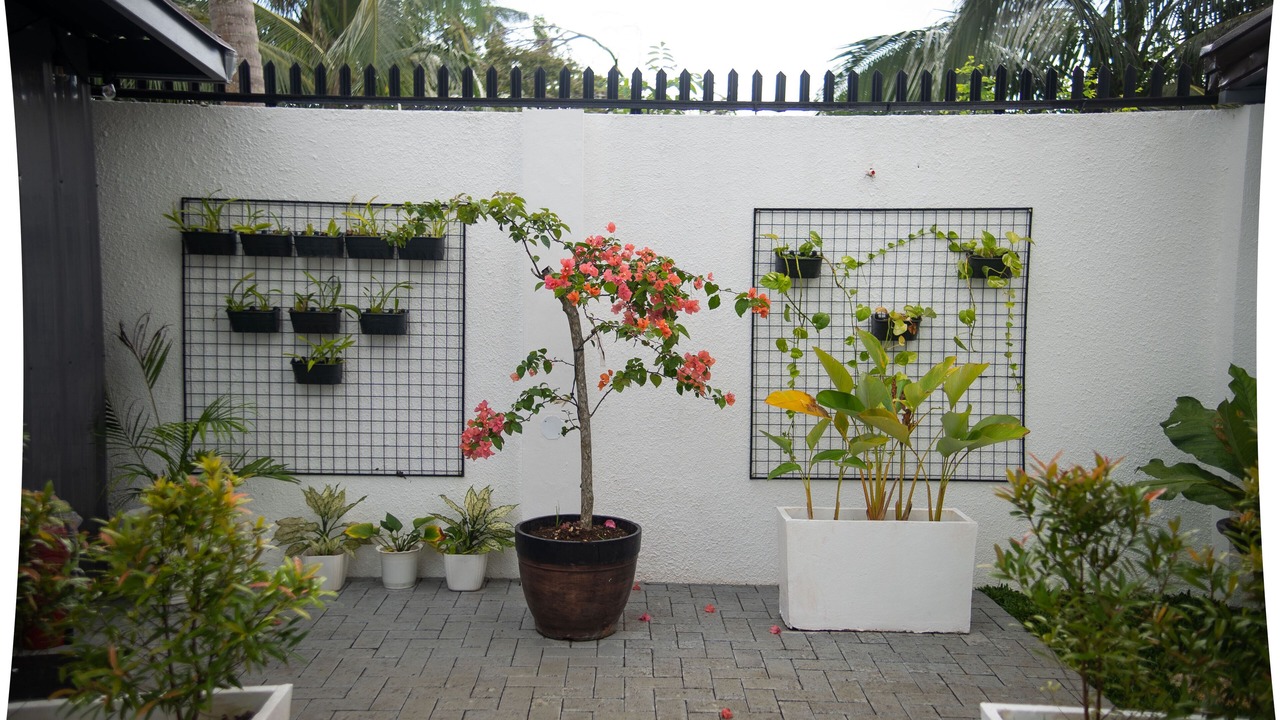 Photo of Patio Balcony in Panglao