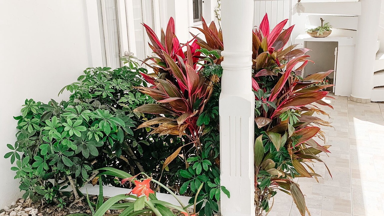 Photo of Outdoor in Cabarete