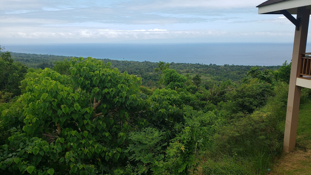 Photo of Outdoor in Siquijor