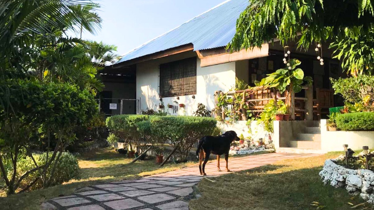 Photo of Outdoor in Basdiot