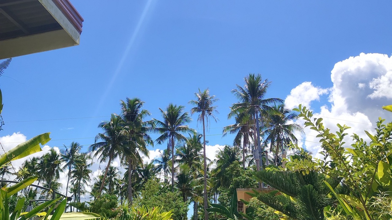 Photo of Outdoor in Catangnan