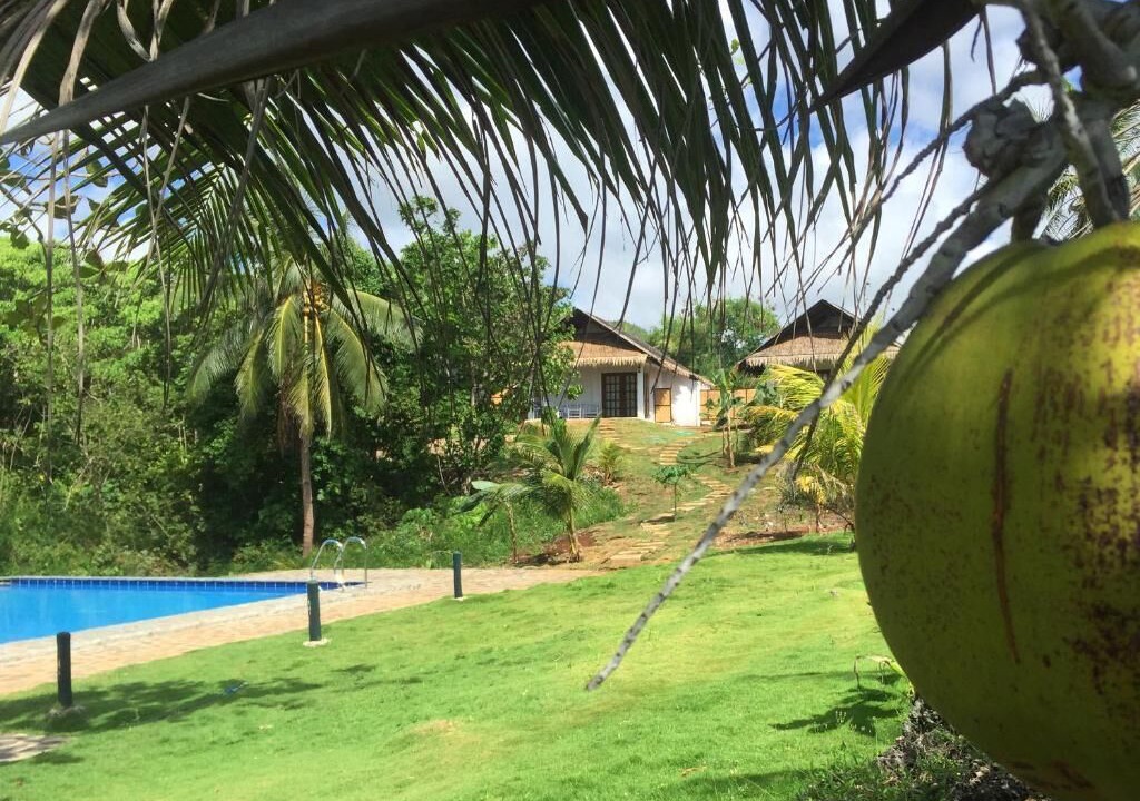 Photo of Outdoor in Anda