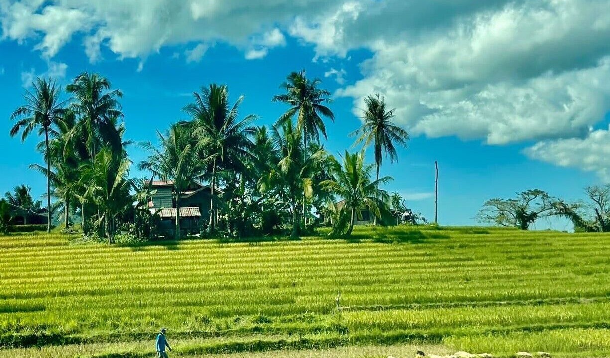 Photo of Outdoor in Anda