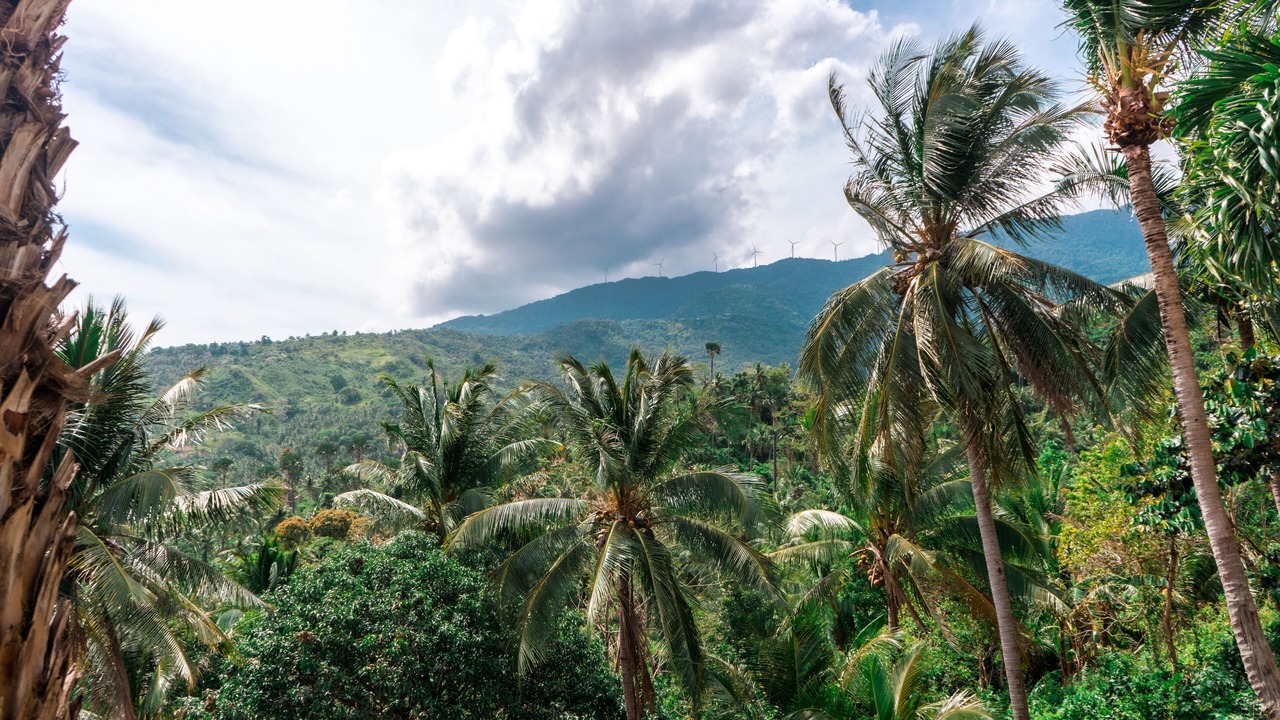 Photo of Outdoor in Puerto Galera