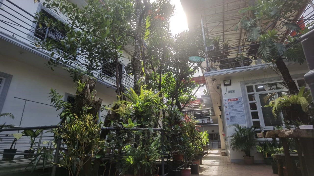 Photo of Outdoor in Del Carmen