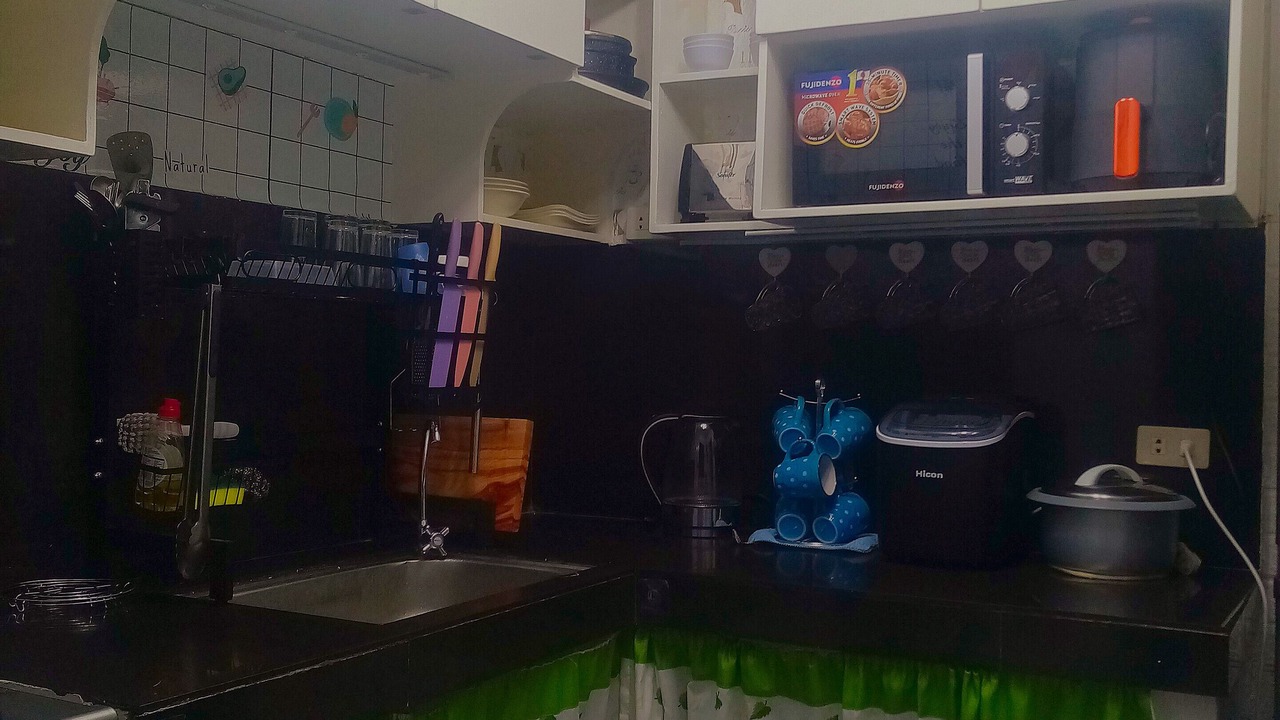 Photo of Kitchen in Santo Tomas