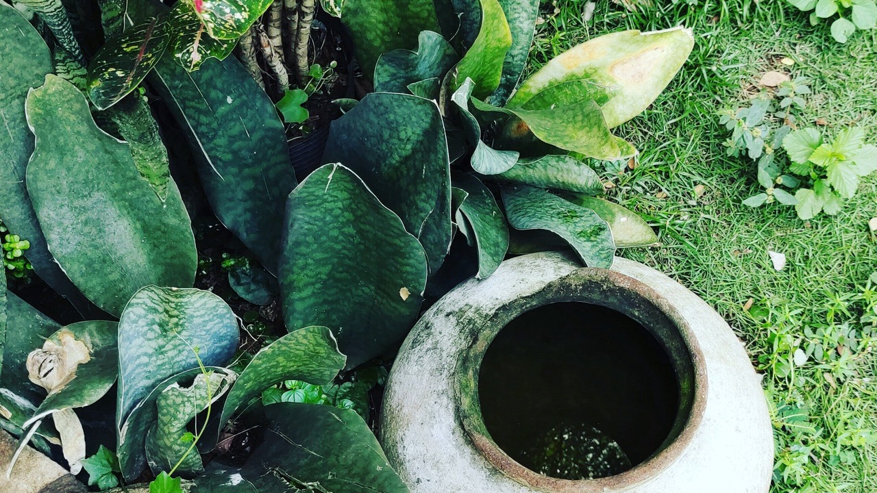 Photo of Outdoor in Siquijor