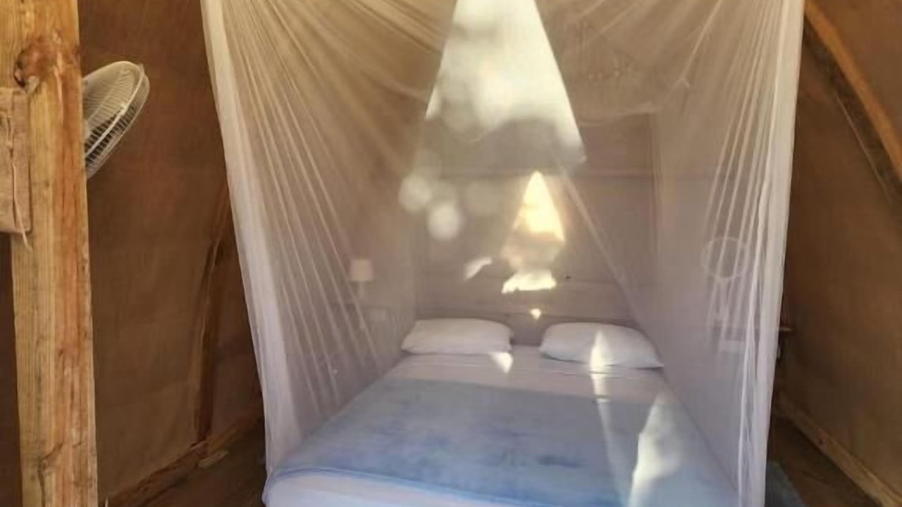 Photo of Bedroom in Mano Juan