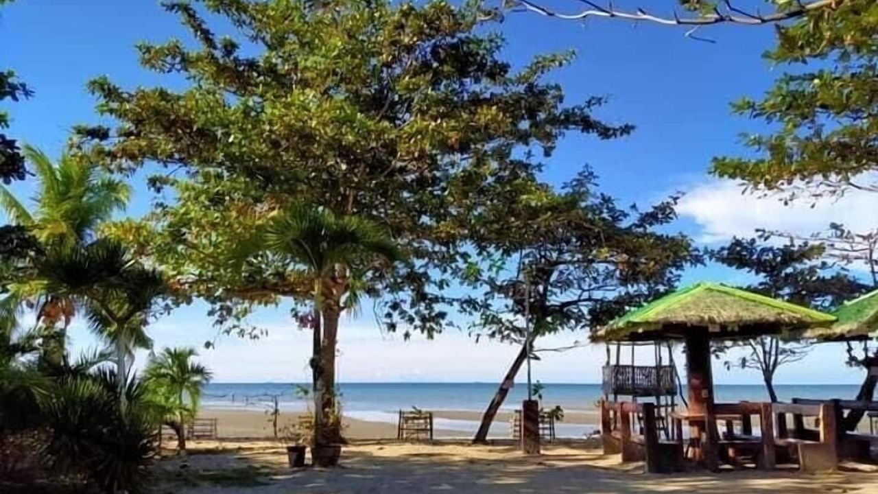 Photo of Outdoor in Carles