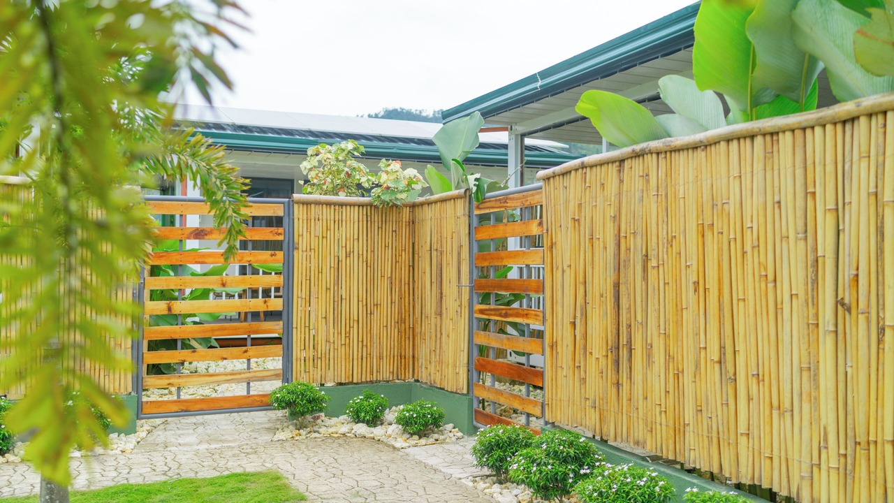 Photo of Others in Port Barton