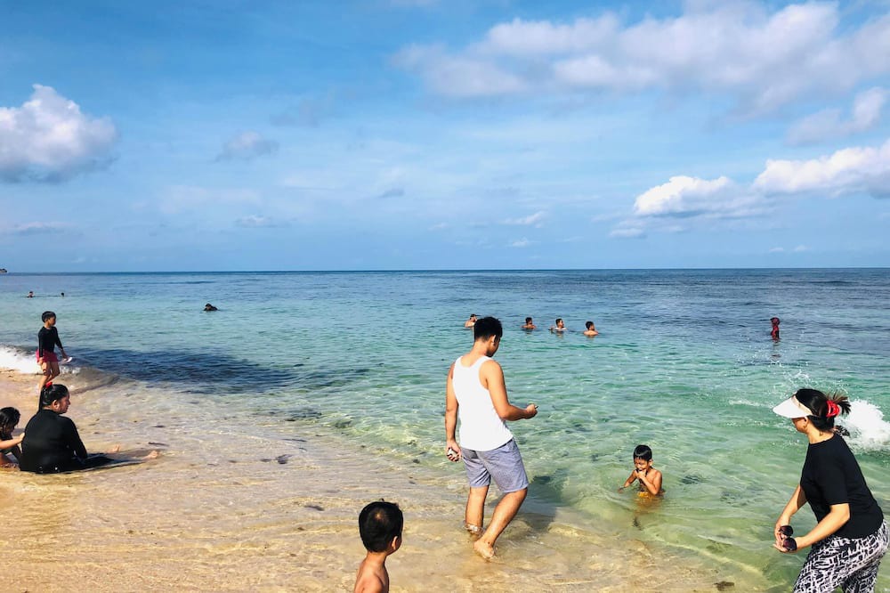 Photo of Others in Patar