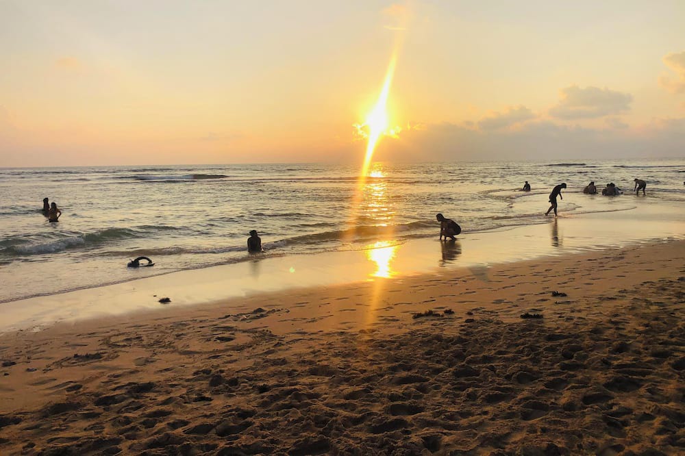 Photo of Others in Patar