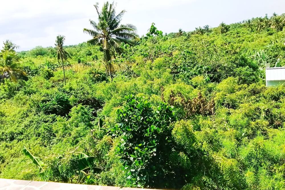 Photo of Others in Moalboal