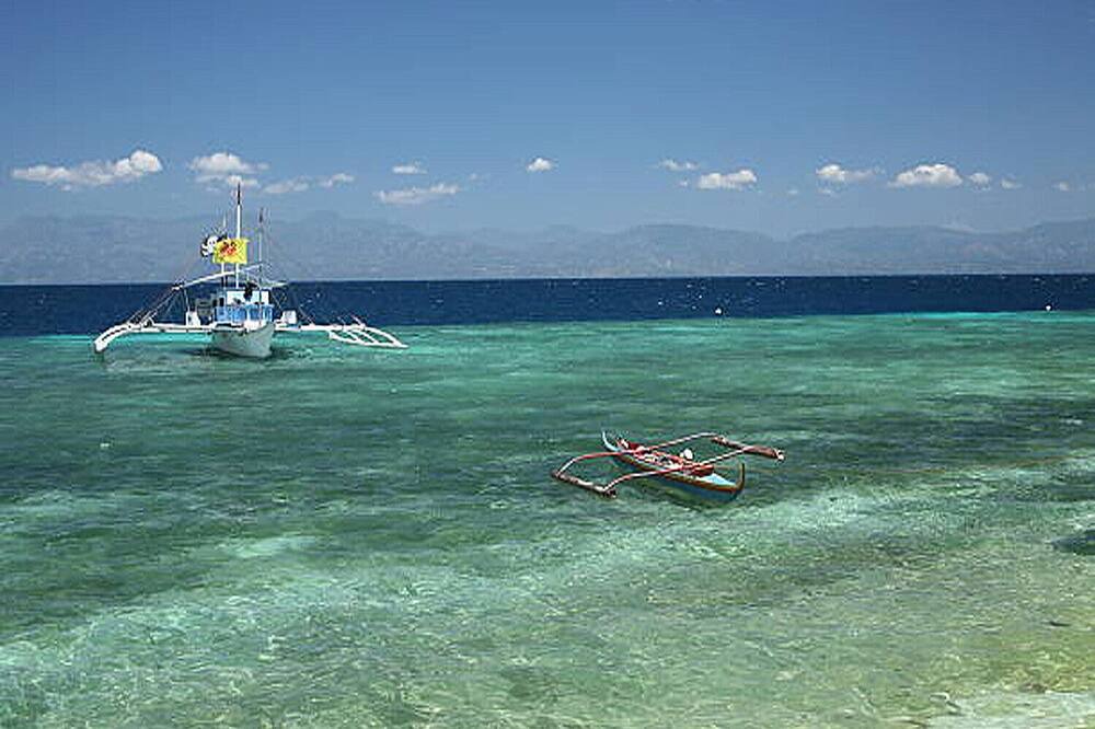 Photo of Others in Moalboal