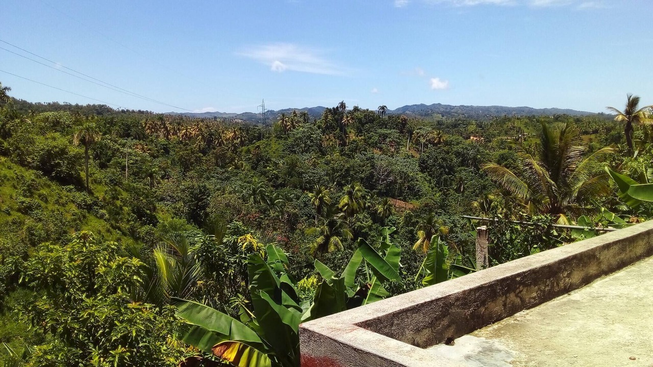 Photo of Others in Puerto Bahia