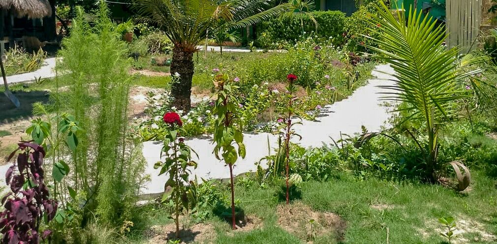 Photo of Outdoor in Logon