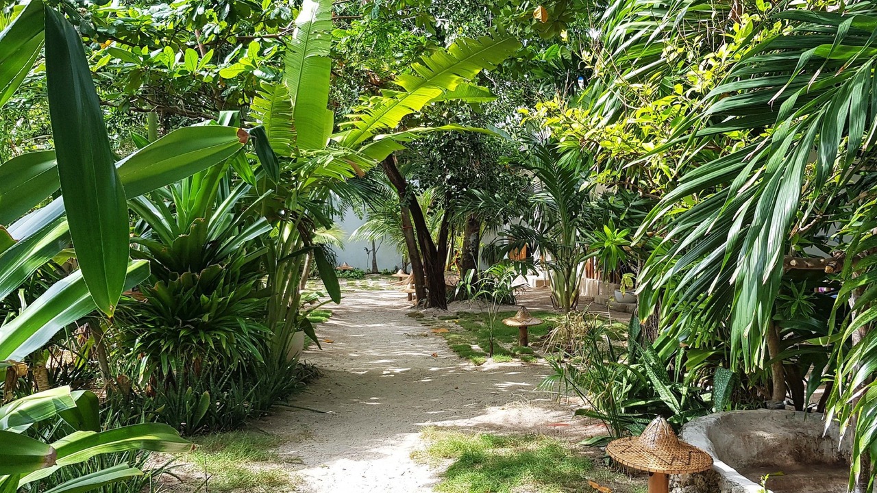 Photo of Outdoor in Logon