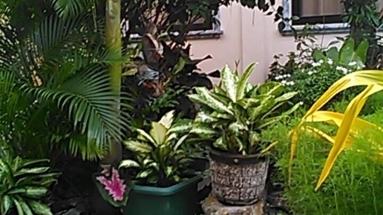 Photo of Others in Libertad