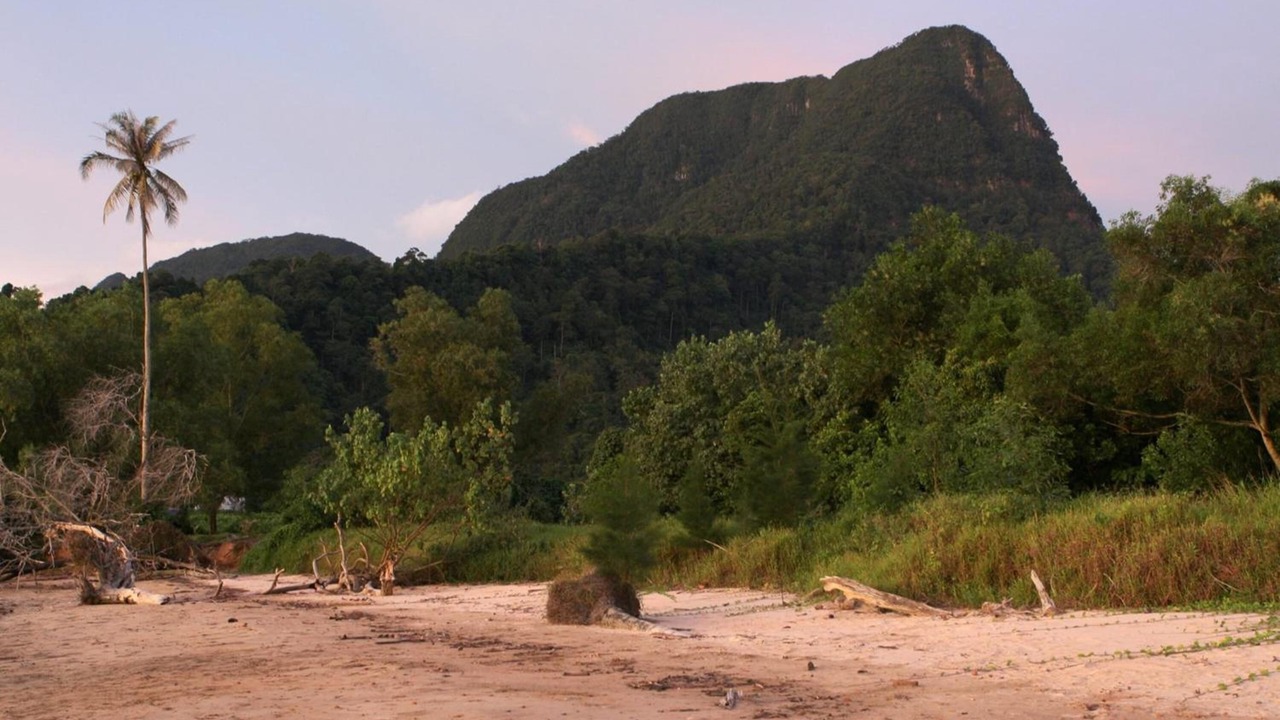 Photo of Outdoor in Santubong