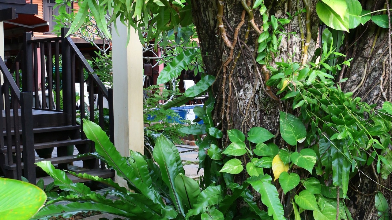 Photo of Others in Santubong