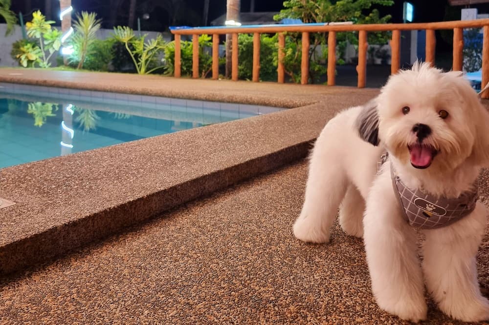 Photo of Outdoor in Panglao
