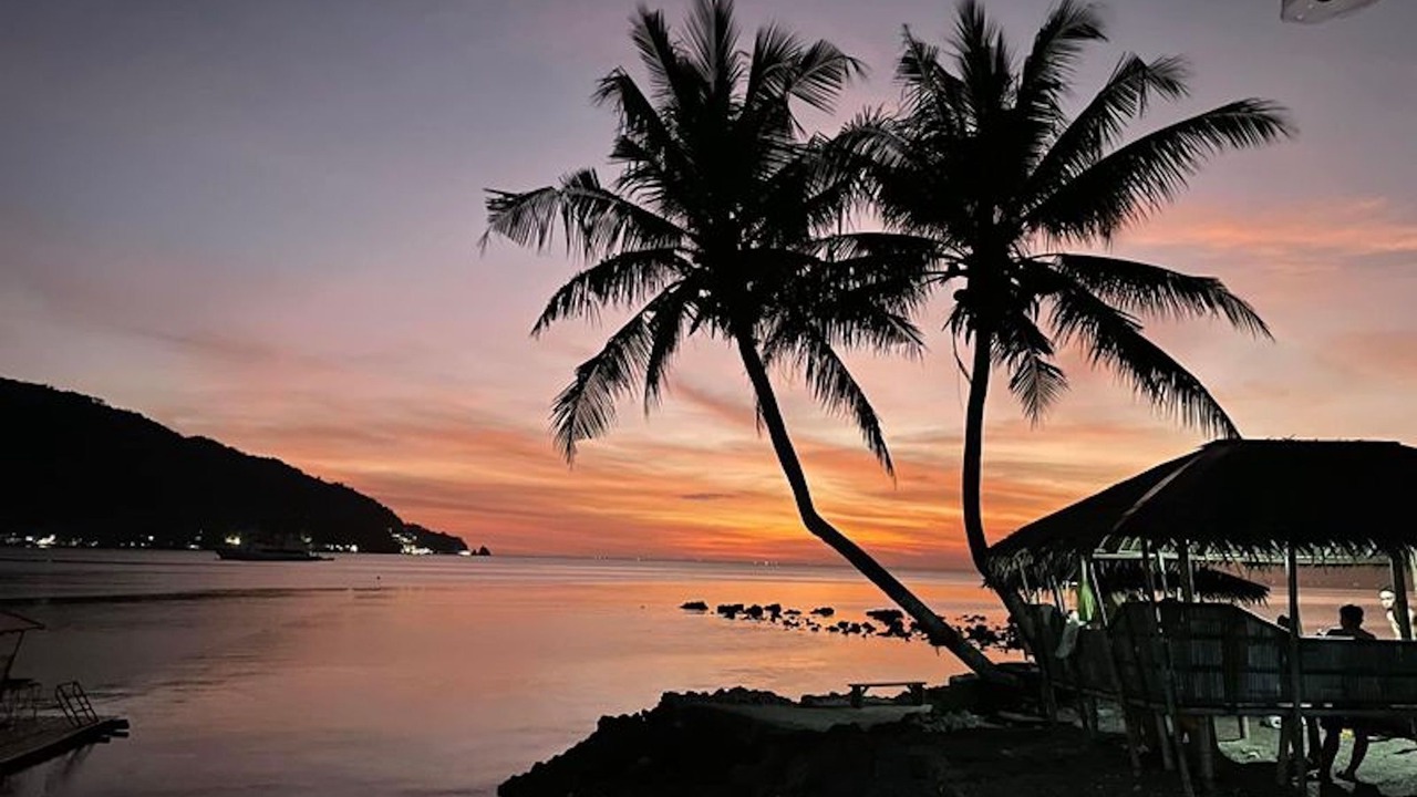Photo of Others in Anilao