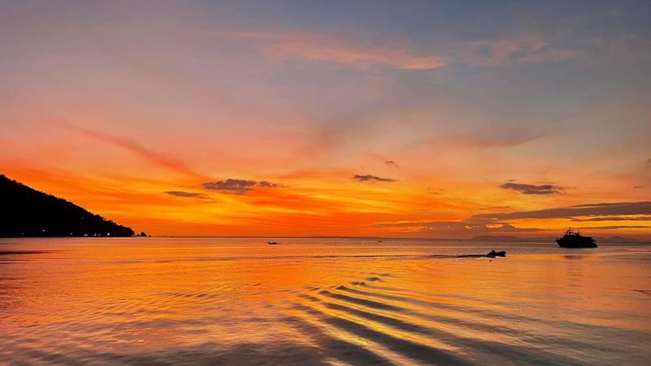 Photo of Others in Anilao