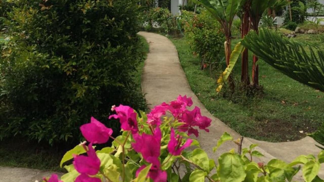 Photo of Outdoor in Zamboanguita
