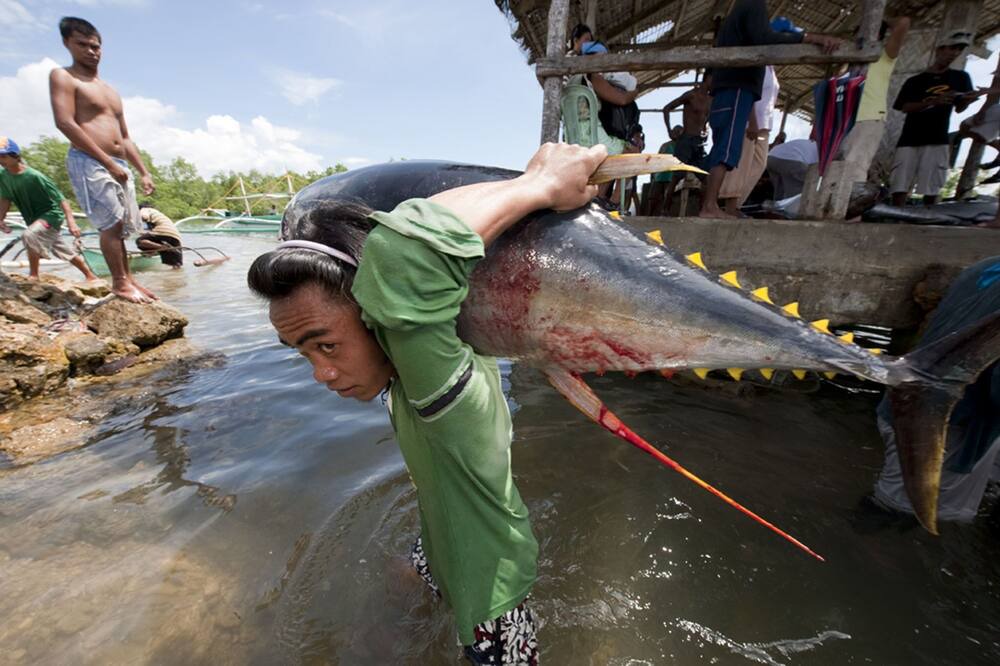 Photo of Others in Bacnotan