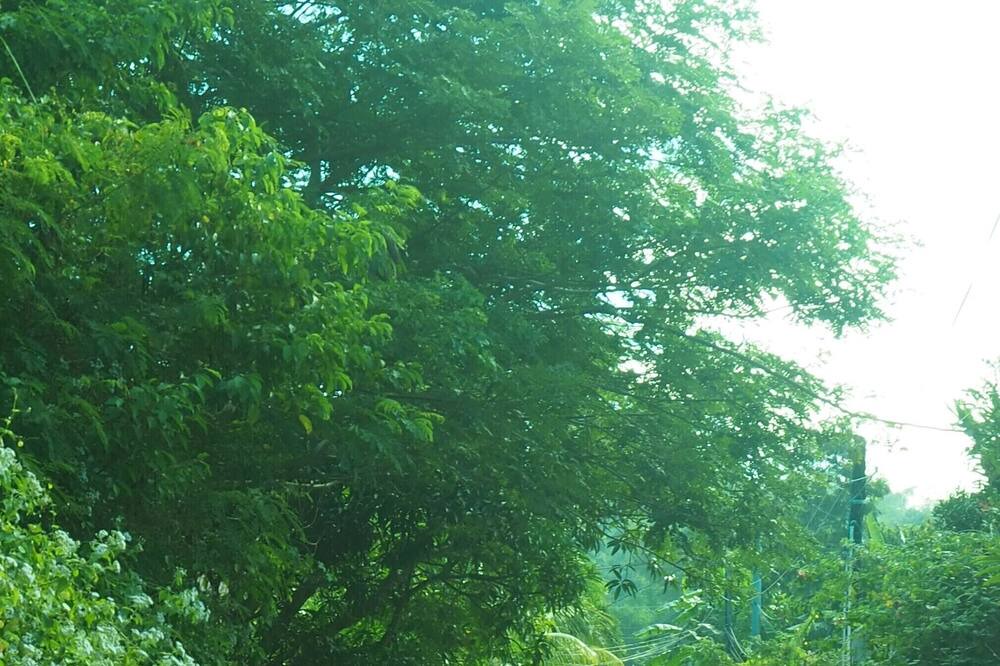 Photo of Others in Bacnotan