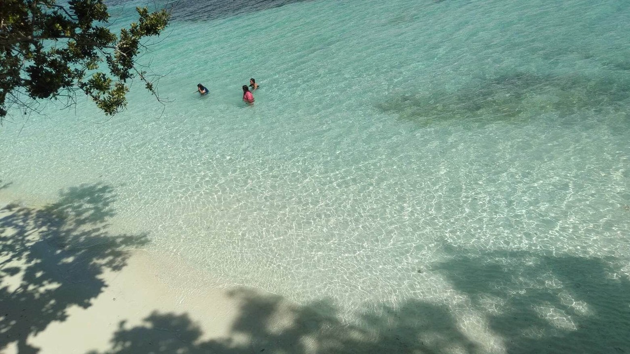 Photo of Others in Anda