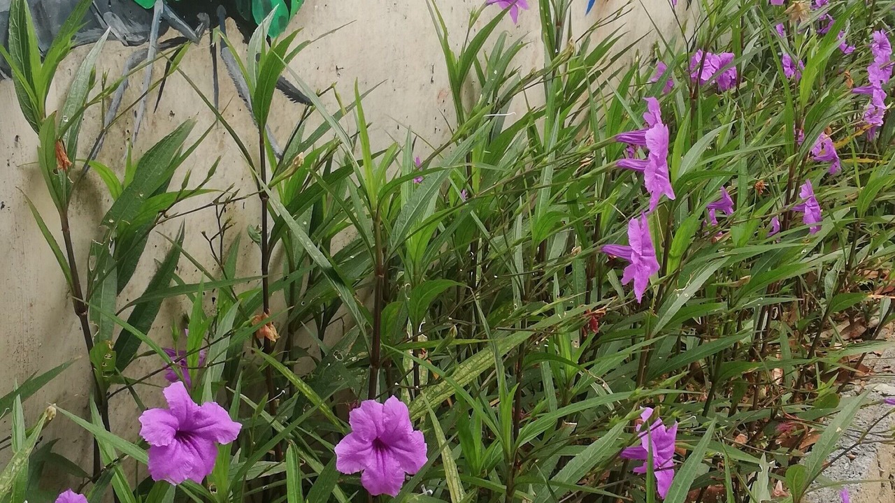 Photo of Outdoor in Sungai Menyala