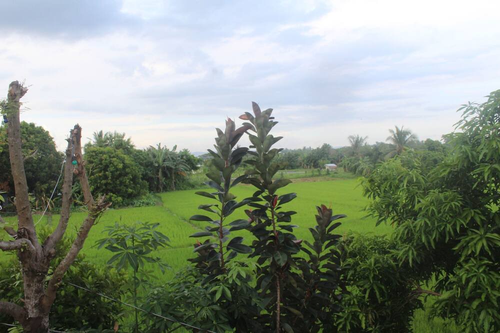 Photo of Bedroom in Legazpi